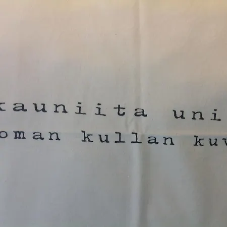 Gasthaus Svensk 招待所 波尔沃