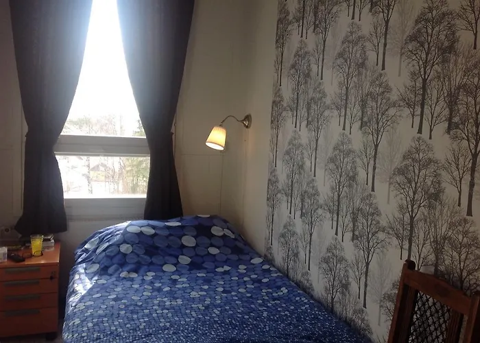 Gasthaus Svensk Pensionat 3*