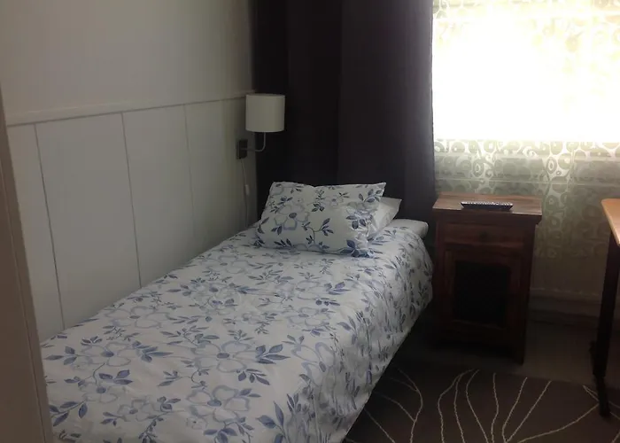 Pensionat Gasthaus Svensk Borgå