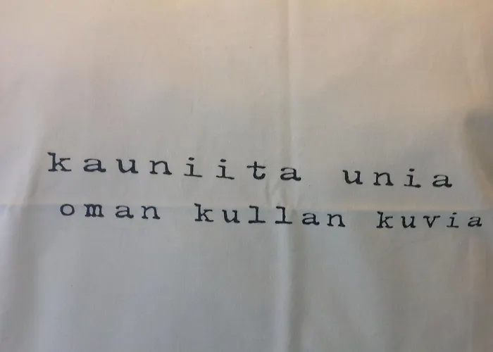 Gasthaus Svensk Pensionat Borgå